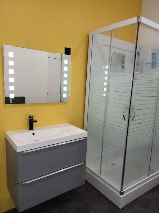 Grand Studio Refait A Neuf Centre-Ville La Bourboule Dış mekan fotoğraf